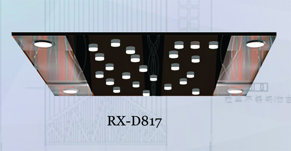 RX-D817