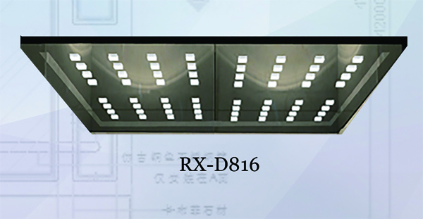 RX-D816