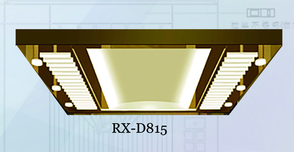 RX-D815