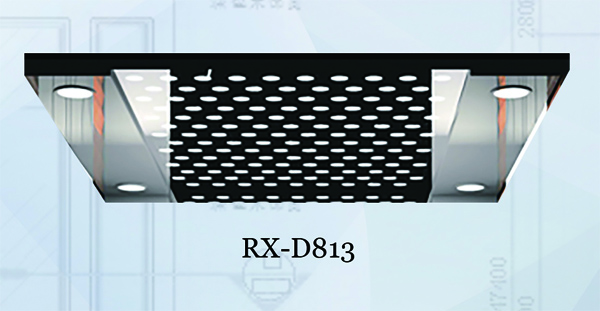 RX-D813