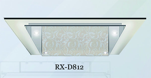 RX-D812