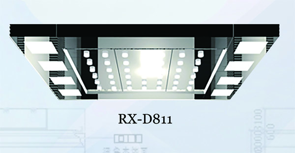 RX-D811