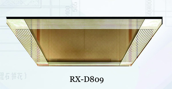 RX-D809